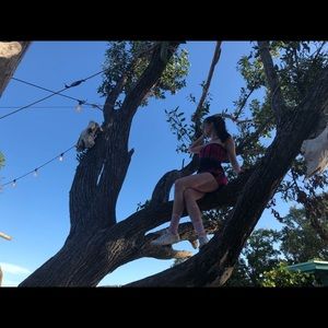 Meet your Posher, Casey